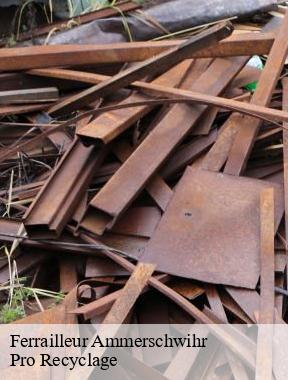 Ferrailleur ammerschwihr-68770 Pro Recyclage
