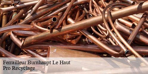 Ferrailleur  burnhaupt-le-haut-68520 Pro Recyclage 