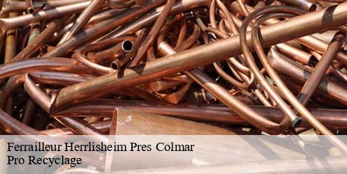Ferrailleur herrlisheim-pres-colmar-68420 Pro Recyclage