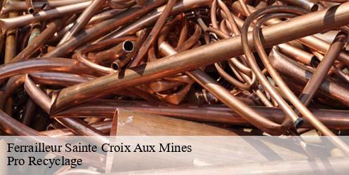 Ferrailleur sainte-croix-aux-mines-68160 Pro Recyclage