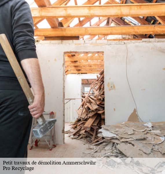 Petit travaux de démolition  ammerschwihr-68770 Pro Recyclage 