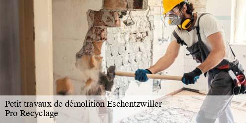 Petit travaux de démolition eschentzwiller-68440 Pro Recyclage