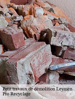 Petit travaux de démolition leymen-68220 Pro Recyclage