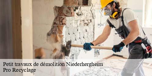Petit travaux de démolition niederhergheim-68250 Pro Recyclage