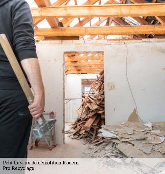 Petit travaux de démolition rodern-68590 Pro Recyclage