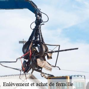 Enlèvement et achat de ferraille  lautenbach-68610 Pro Recyclage 