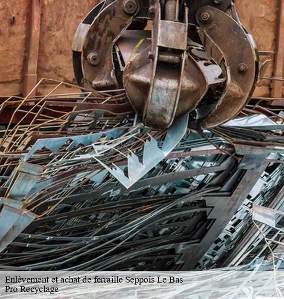 Enlèvement et achat de ferraille seppois-le-bas-68580 Pro Recyclage