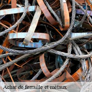 Achat de ferraille et métaux  lautenbach-68610 Pro Recyclage 