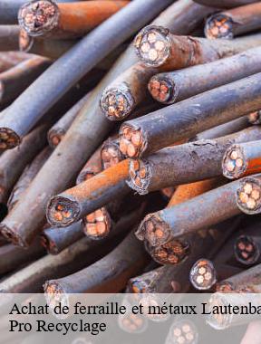 Achat de ferraille et métaux  lautenbach-68610 Pro Recyclage 