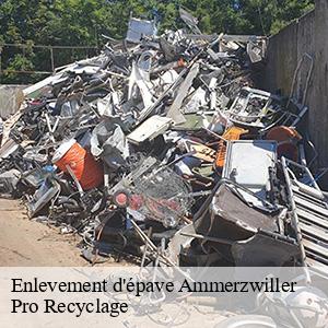 Enlevement d'épave ammerzwiller-68210 Pro Recyclage