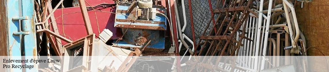 Enlevement d'épave lauw-68290 Pro Recyclage