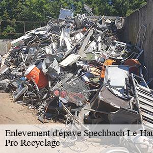 Enlevement d'épave  spechbach-le-haut-68720 Pro Recyclage 