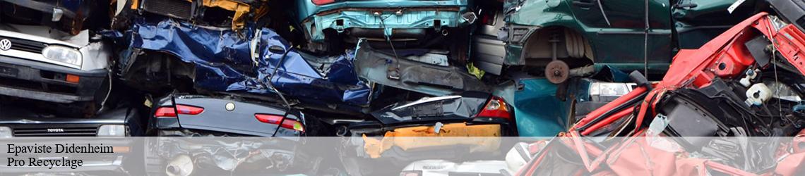 Epaviste  didenheim-68350 Pro Recyclage 