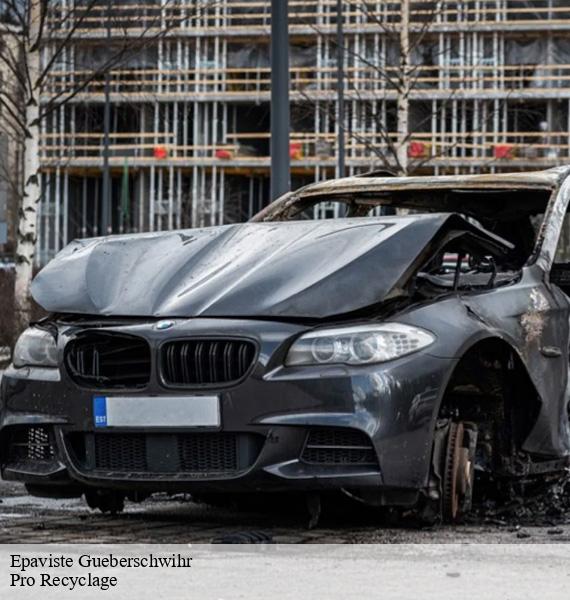 Epaviste  gueberschwihr-68420 Pro Recyclage 