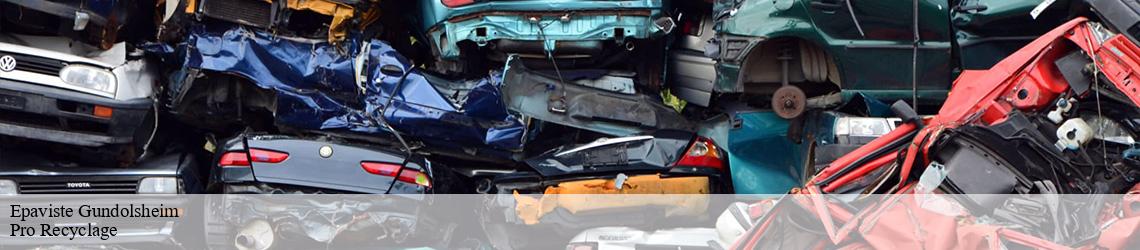 Epaviste  gundolsheim-68250 Pro Recyclage 