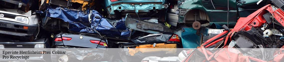 Epaviste  herrlisheim-pres-colmar-68420 Pro Recyclage 
