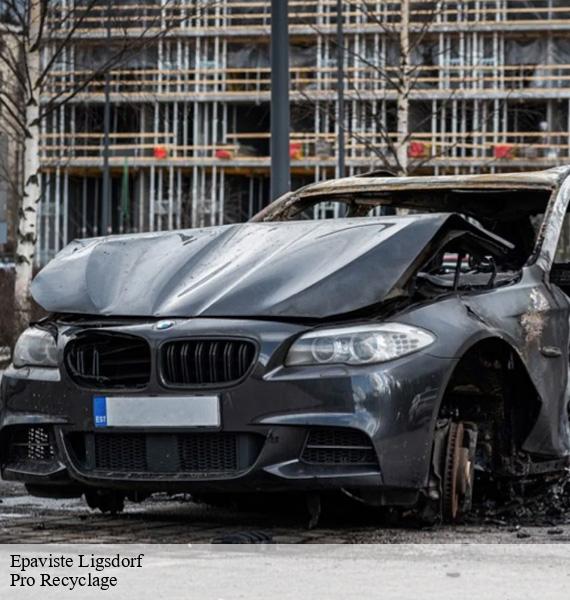 Epaviste ligsdorf-68480 Pro Recyclage