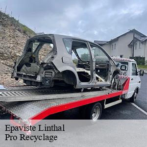 Epaviste  linthal-68610 Pro Recyclage 