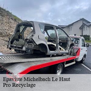 Epaviste  michelbach-le-haut-68220 Pro Recyclage 