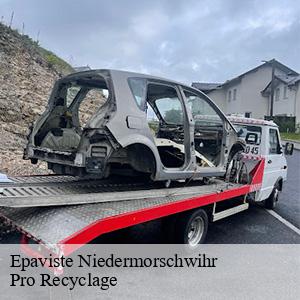 Epaviste  niedermorschwihr-68230 Pro Recyclage 