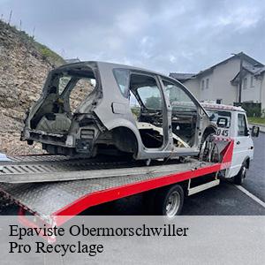 Epaviste obermorschwiller-68130 Pro Recyclage