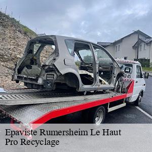 Epaviste  rumersheim-le-haut-68740 Pro Recyclage 