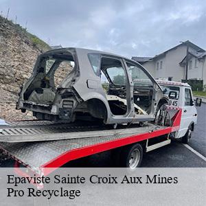 Epaviste sainte-croix-aux-mines-68160 Pro Recyclage