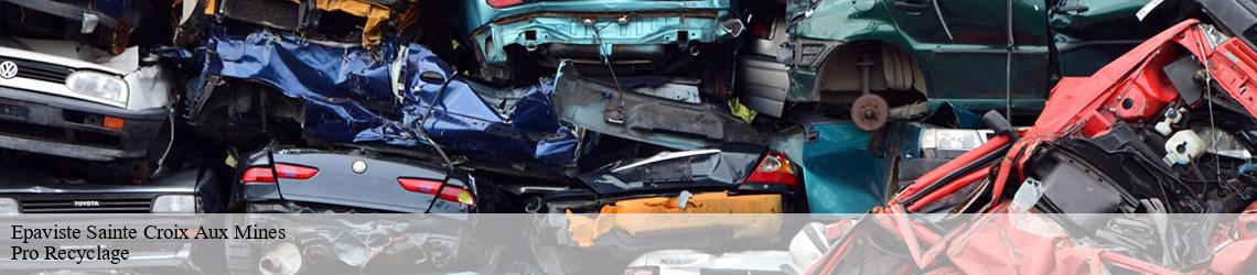 Epaviste sainte-croix-aux-mines-68160 Pro Recyclage