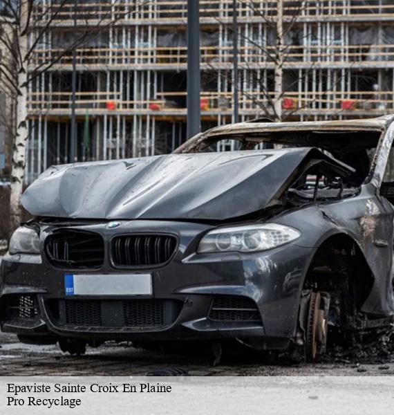 Epaviste  sainte-croix-en-plaine-68127 Pro Recyclage 