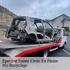 Epaviste  sainte-croix-en-plaine-68127 Pro Recyclage 