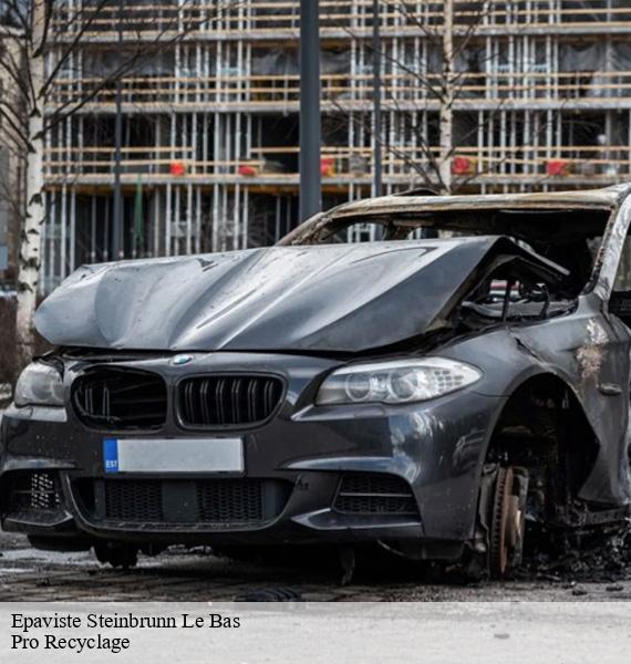 Epaviste  steinbrunn-le-bas-68440 Pro Recyclage 