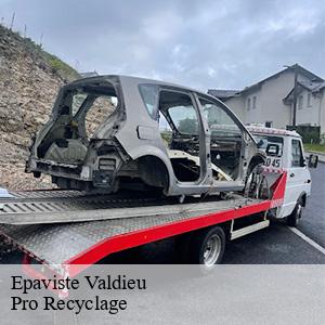 Epaviste  valdieu-68210 Pro Recyclage 