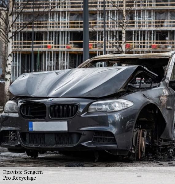 Epaviste  sengern-68610 Pro Recyclage 