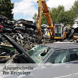   ammerschwihr-68770 Pro Recyclage 