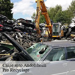 Casse auto  andolsheim-68280 Pro Recyclage 
