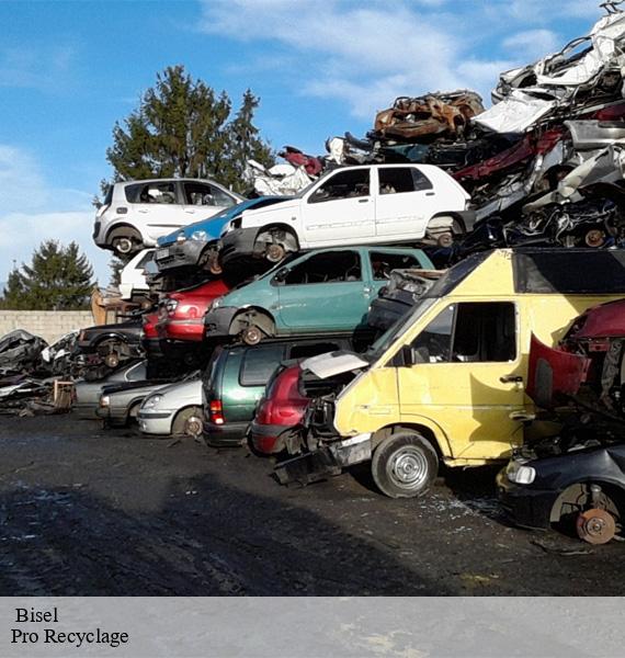   bisel-68580 Pro Recyclage 