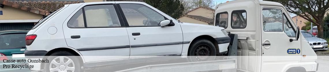 Casse auto gunsbach-68140 Pro Recyclage