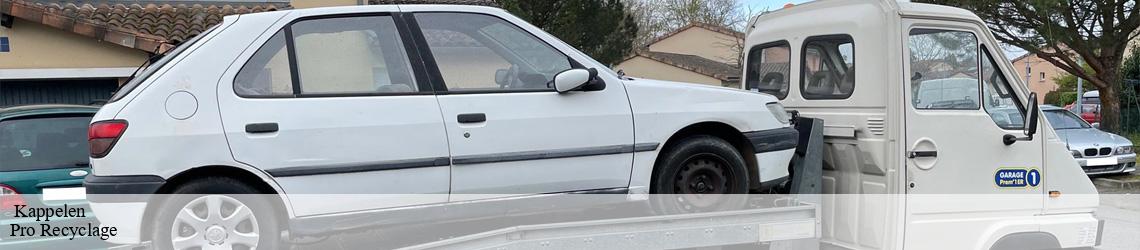   kappelen-68510 Pro Recyclage 