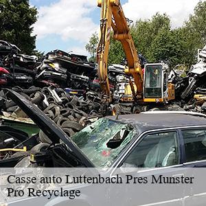 Casse auto  luttenbach-pres-munster-68140 Pro Recyclage 