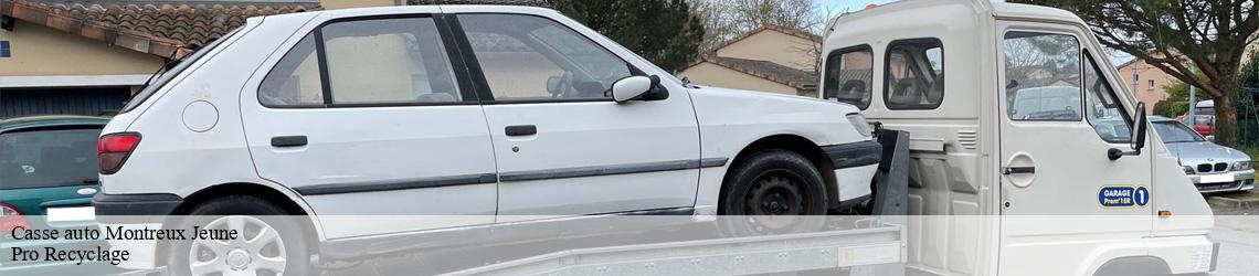Casse auto  montreux-jeune-68210 Pro Recyclage 