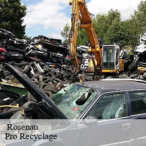   rosenau-68128 Pro Recyclage 