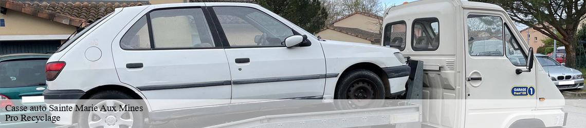 Casse auto  sainte-marie-aux-mines-68160 Pro Recyclage 