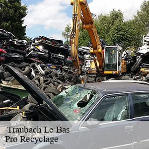   traubach-le-bas-68210 Pro Recyclage 