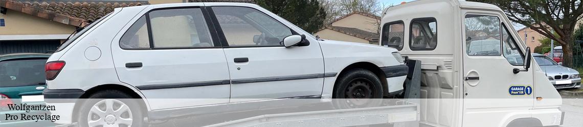   wolfgantzen-68600 Pro Recyclage 